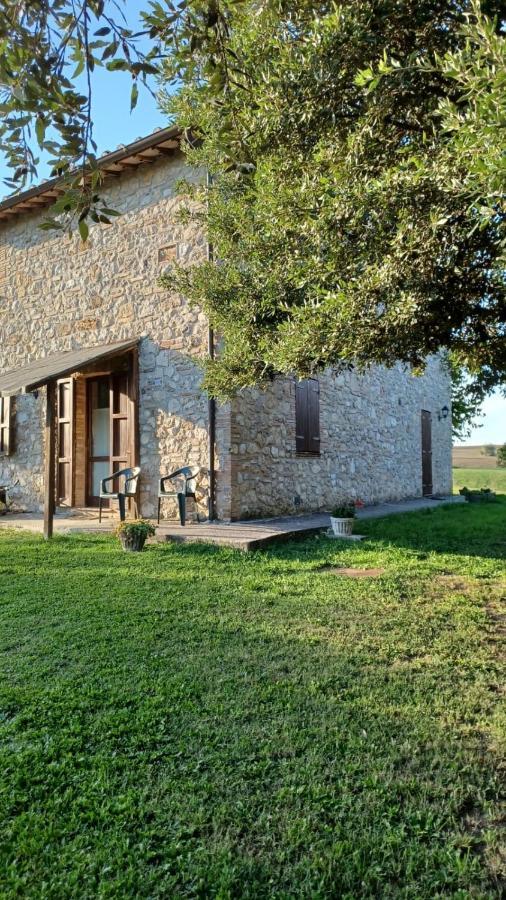 Agriturismo Canonici 아멜리아 외부 사진