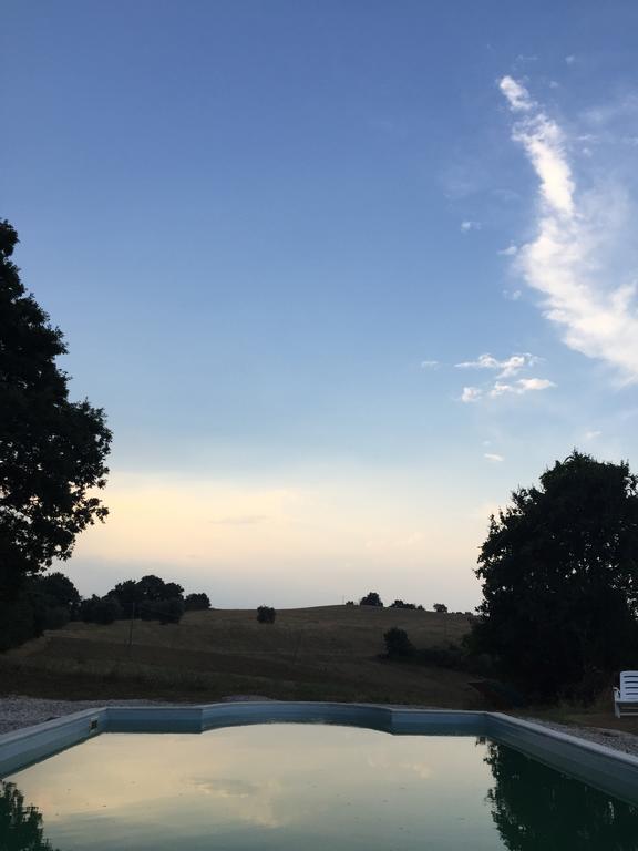Agriturismo Canonici 아멜리아 외부 사진